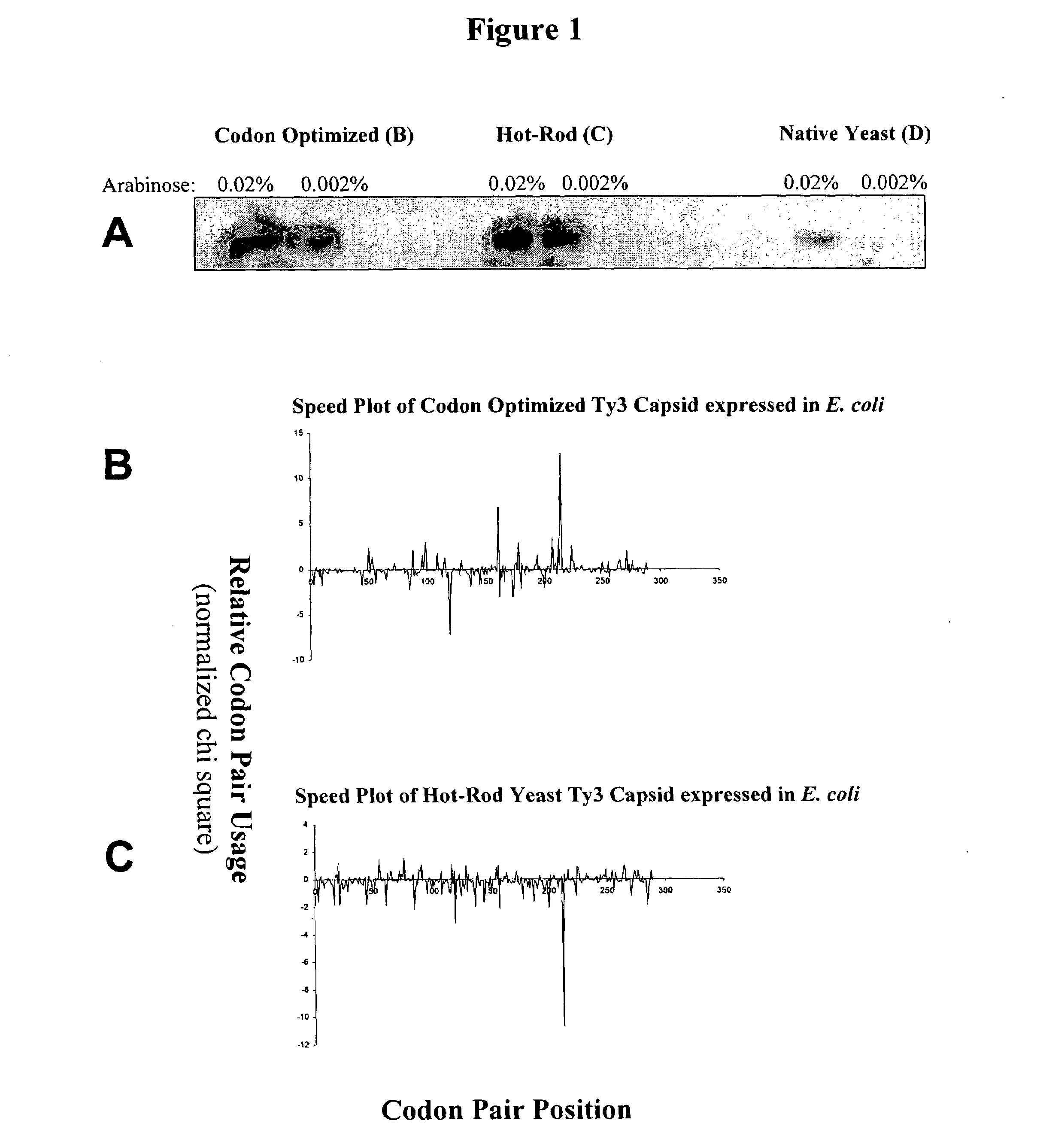 Polypepetide-encoding nucleotide sequences with refined translational kinetics and methods of making same