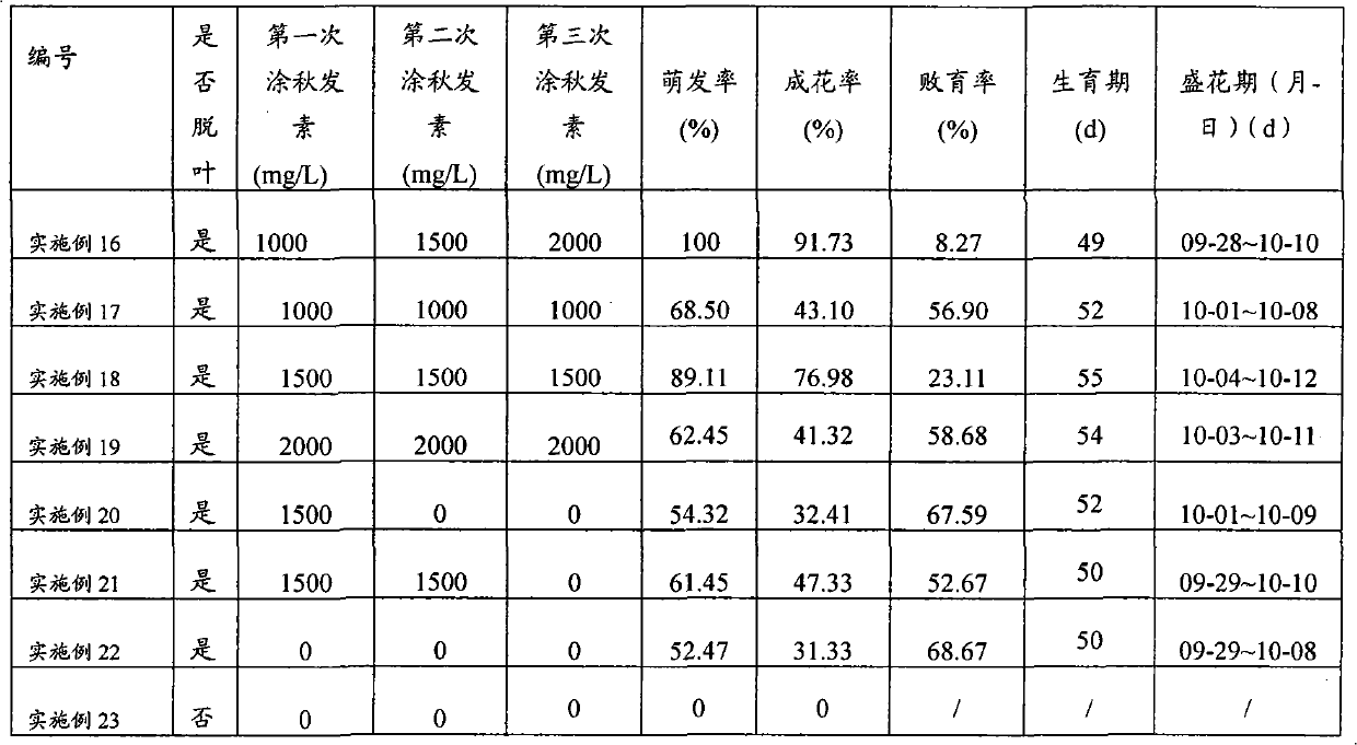 Cultivation method for promoting pot-cultured tree peony to blossom on National Day