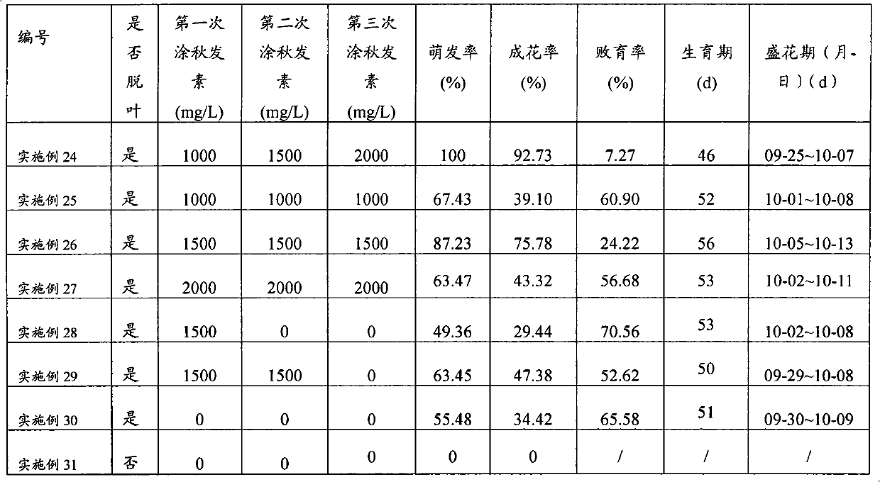 Cultivation method for promoting pot-cultured tree peony to blossom on National Day