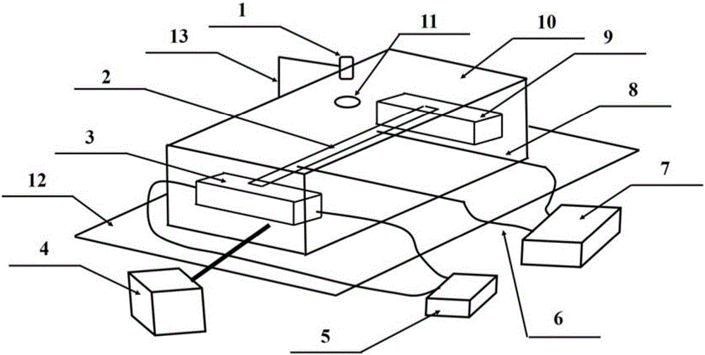 Determination device for Seebeck coefficient of flexible thin film material