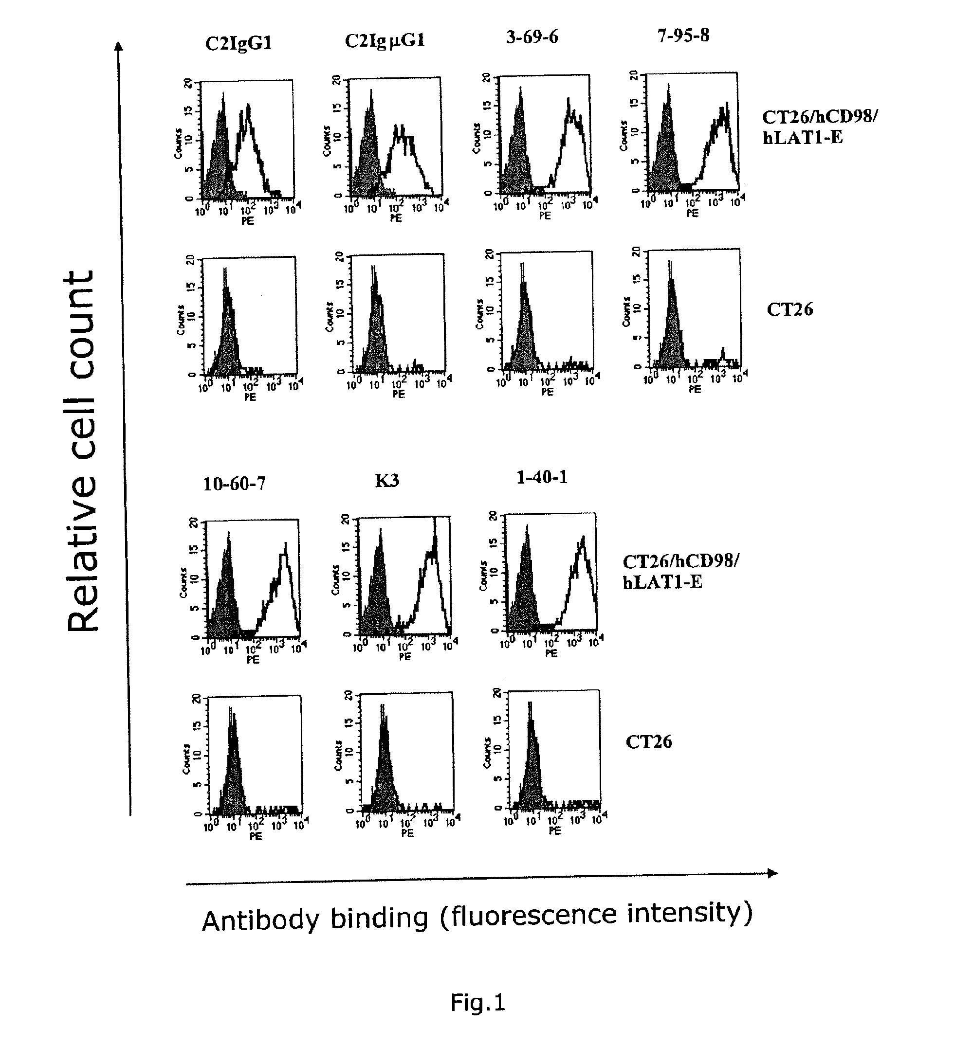 Anti-cd98 antibody