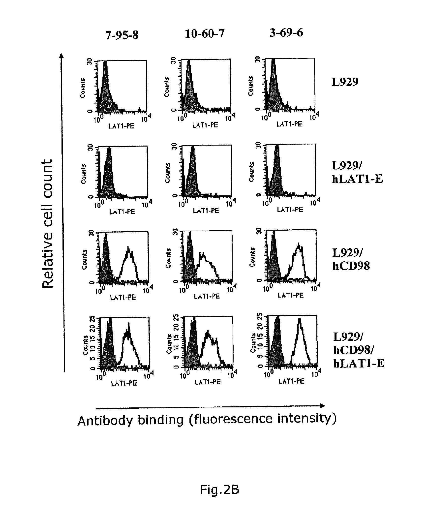 Anti-cd98 antibody