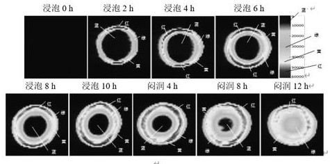 Medicinal material moistening degree detection method based on moisture distribution state and texture change