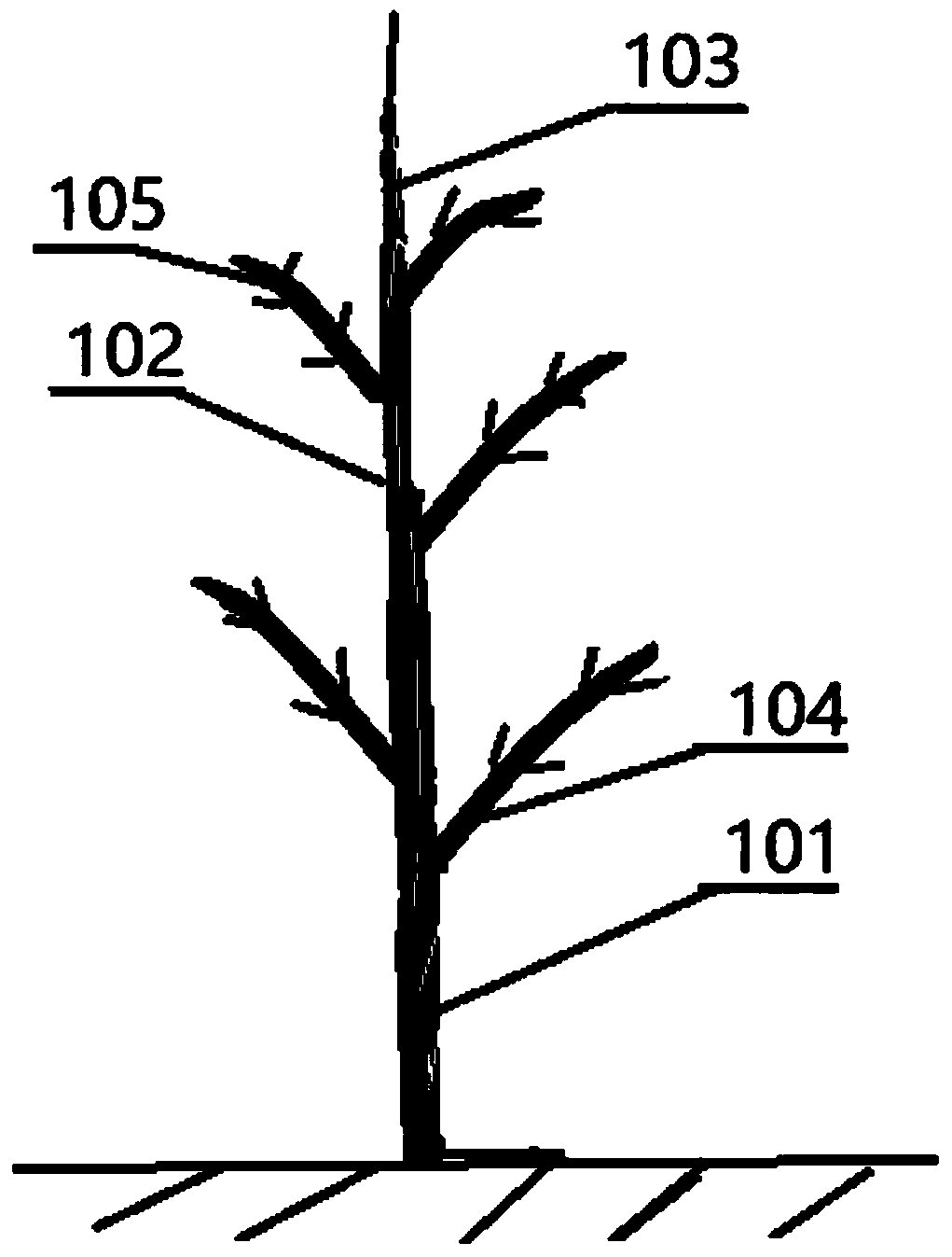 A kind of persimmon-rice three-dimensional ecological planting method