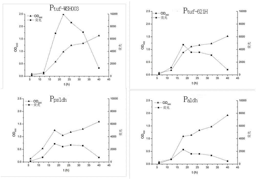 A Gradient Strength Promoter of Gluconobacter oxidans