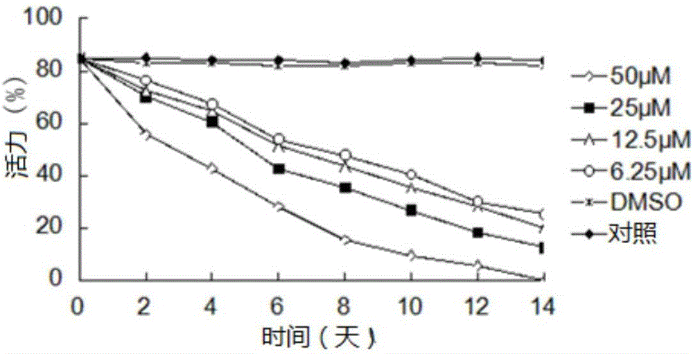 Application of ERK inhibitor PD98059 in preparation of medicine for treatment of alveolar hydatid disease