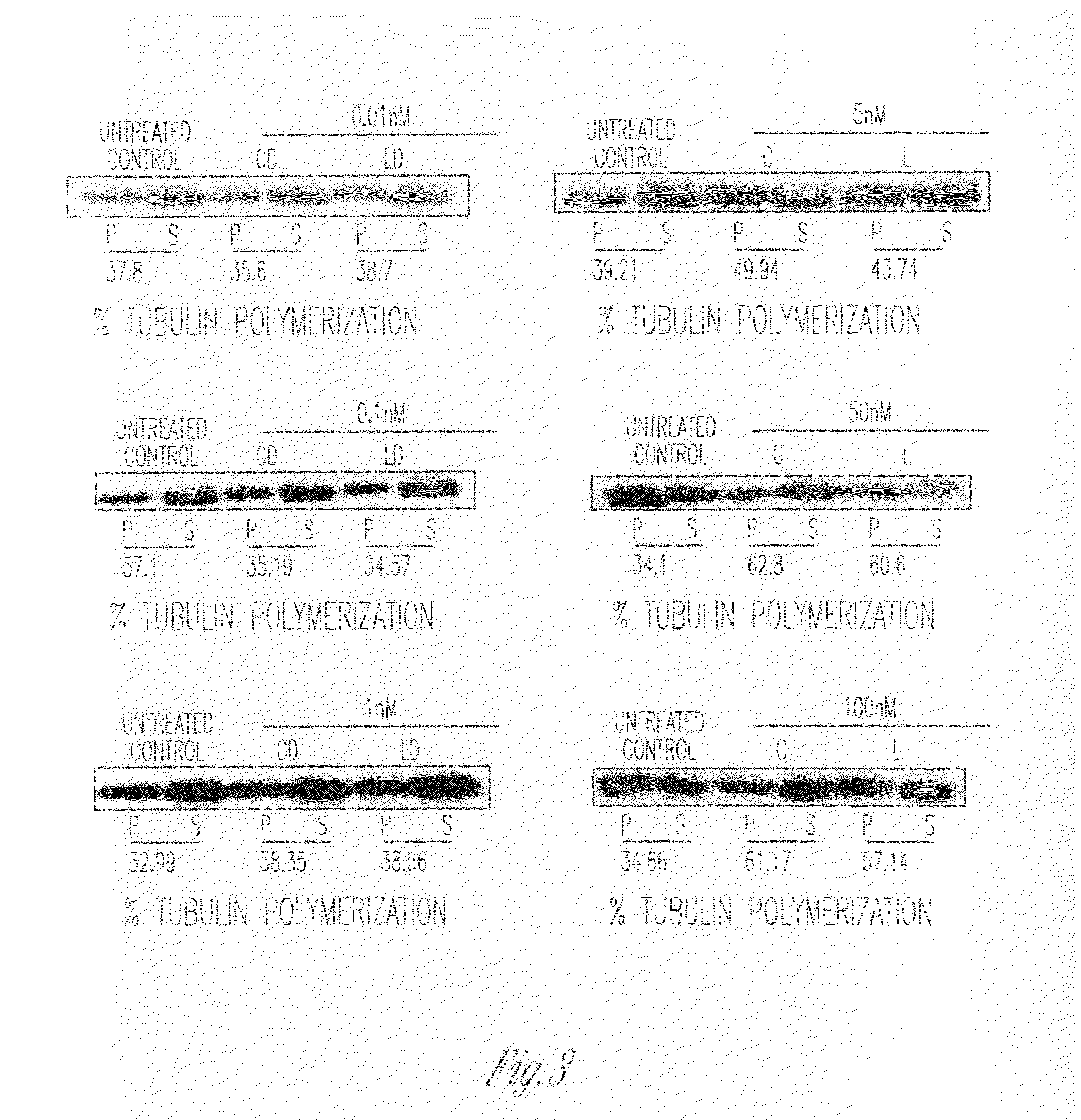 Proliposomal and liposomal compositions of poorly water soluble drugs