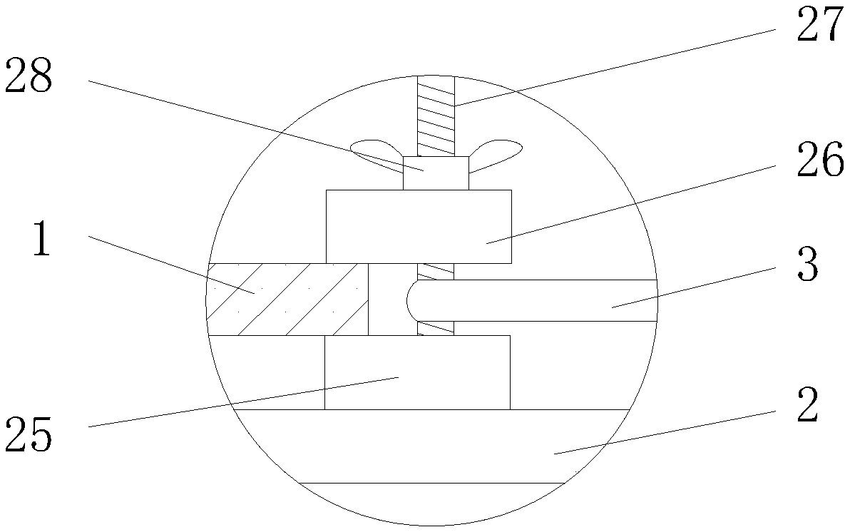 Multifunctional test device for macromolecular plate