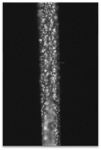 Processing method of stainless steel foil, stainless steel foil and flexible display device