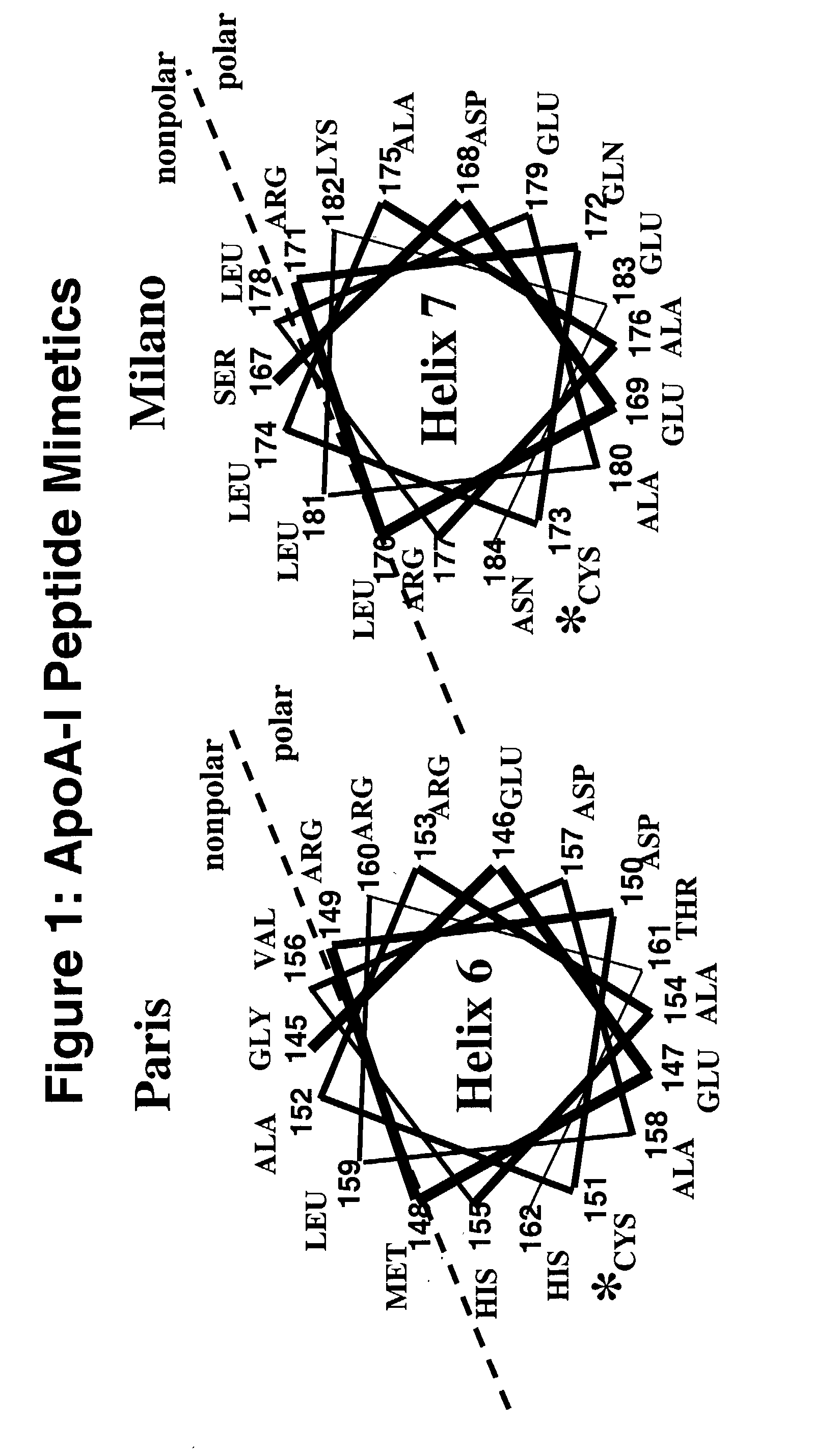 Cysteine-containing peptides having antioxidant properties