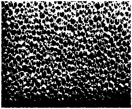 Foam ceramic supporter, TiO2 photocatalyst and preparation method thereof