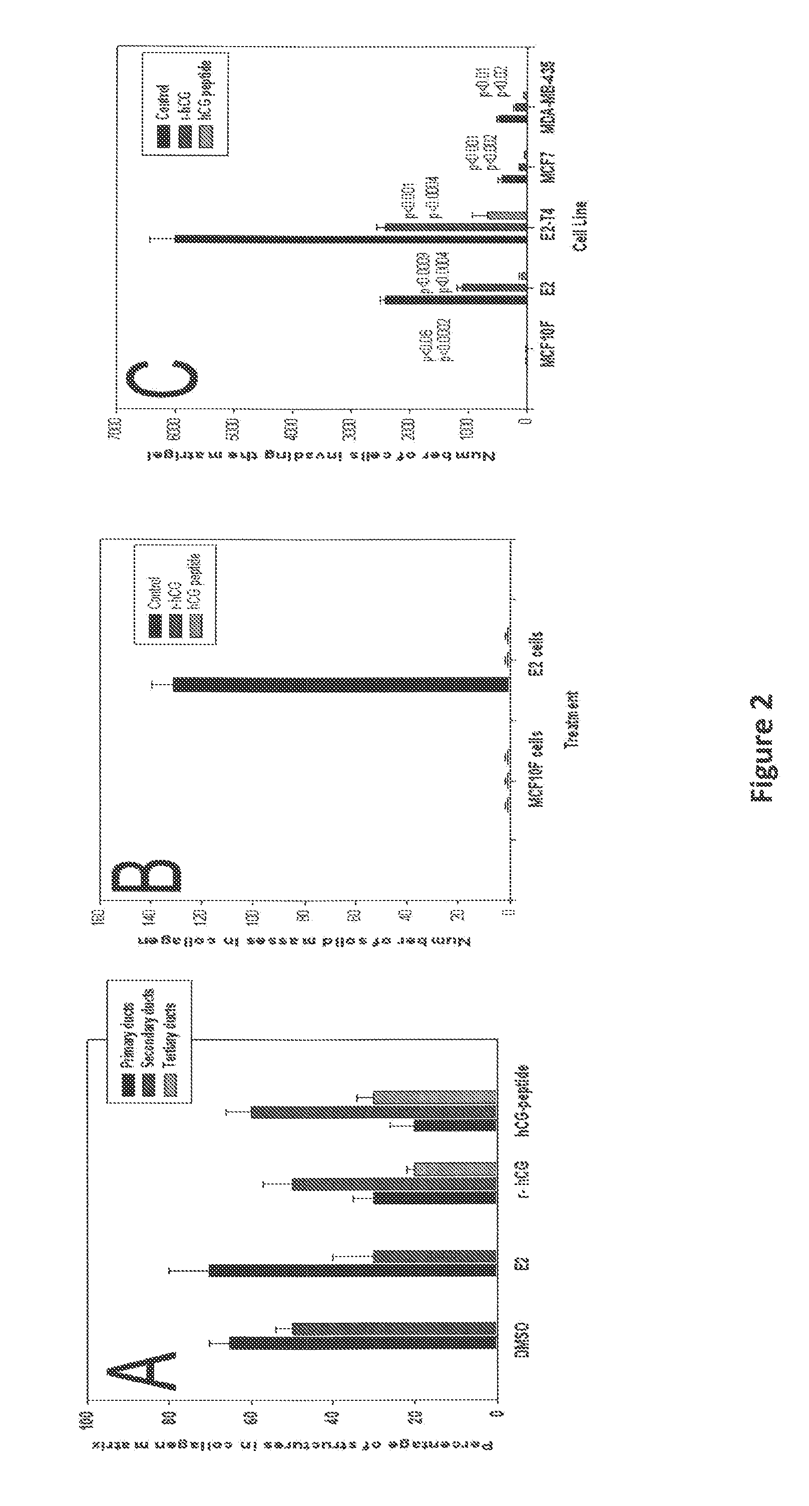 Compositions and Methods for the Prevention of Cancer in High Risk Patients