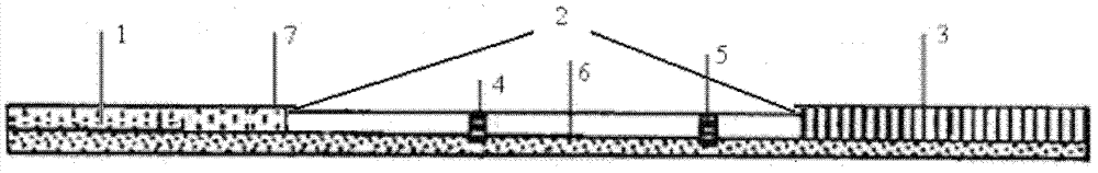 Kit and method for detecting furacilin metabolin