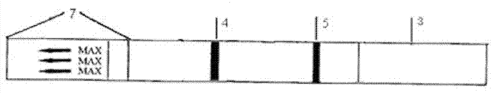 Kit and method for detecting furacilin metabolin