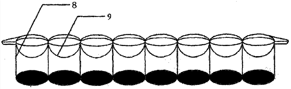 Kit and method for detecting furacilin metabolin