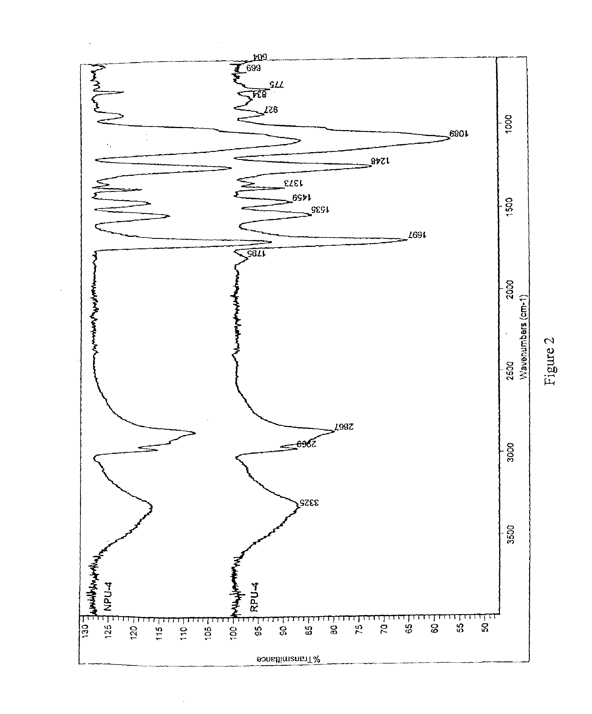 Non-Isocyanate-Based Polyurethane and Hybrid Polyurethane-Epoxy Nanocomposite Polymer Compositions