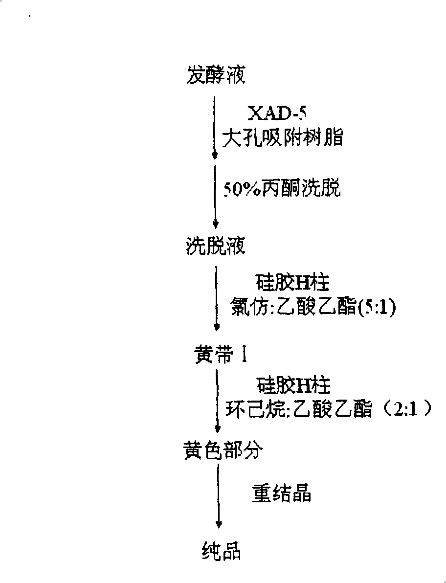 IL-4R antagonist and microorganism for generating the IL-4R antagonist