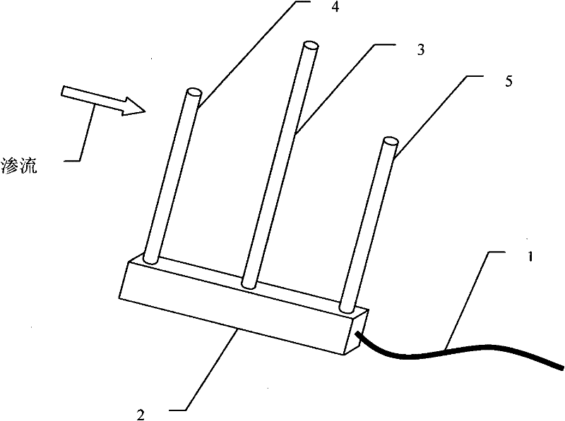 Soil dam seepage monitoring device