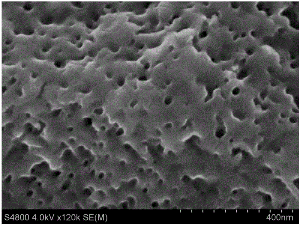 Polycrystalline black silicon texturization treatment fluid, polysilicon chip texturization method applying treatment fluid, and polycrystalline black silicon texturization product