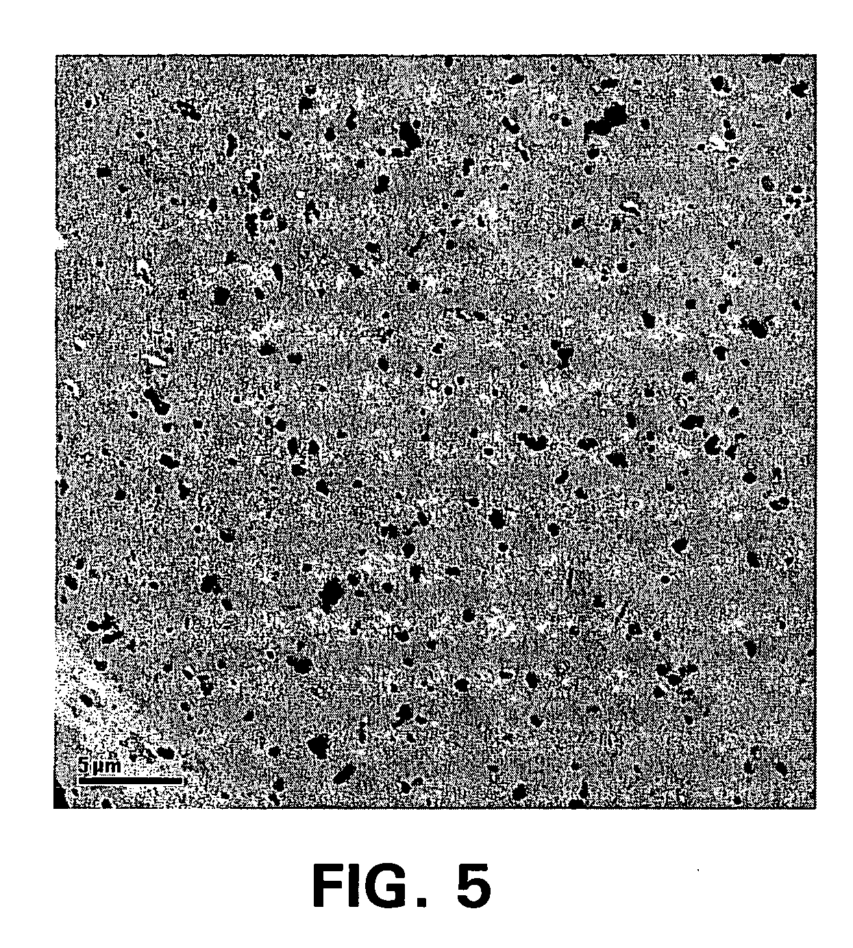 Compositions of polyesters and sepiolite-type clays