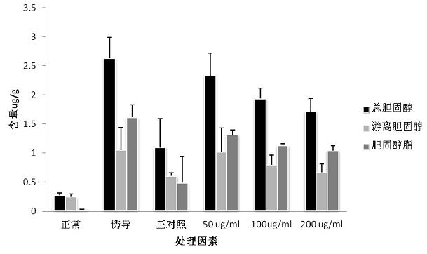 Method for detecting effective hypolipidemic component in edible fungus by establishing foam cell model