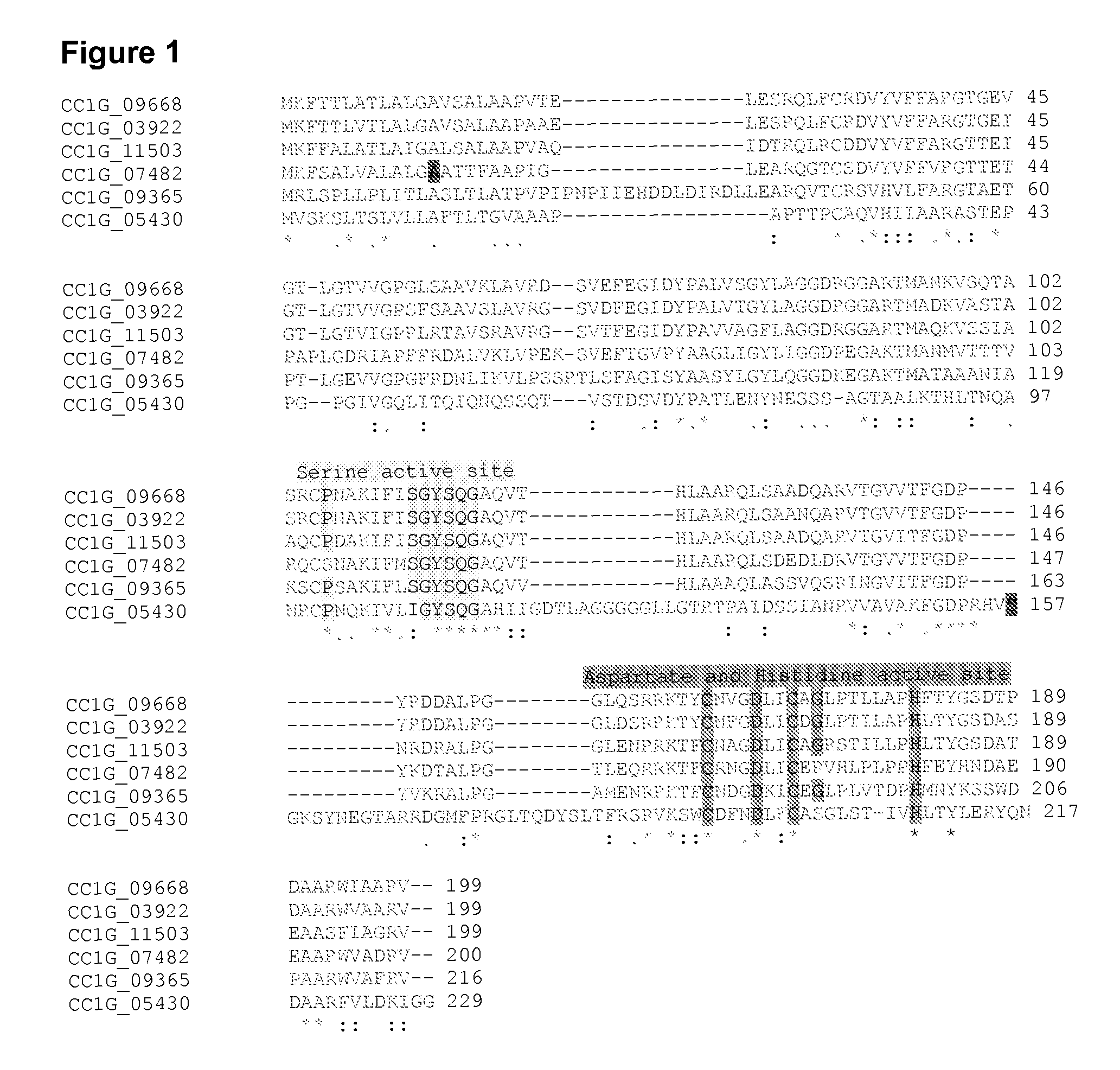 Esterases and their use