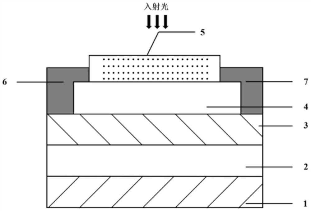 Solar blind ultraviolet photoelectric detector and application thereof