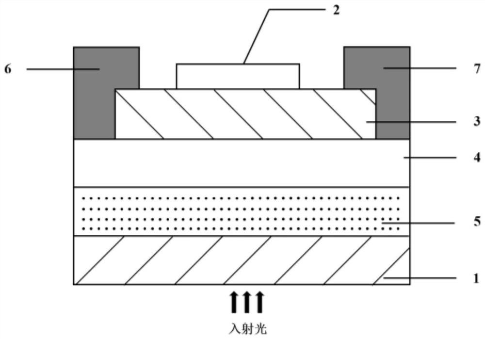 Solar blind ultraviolet photoelectric detector and application thereof