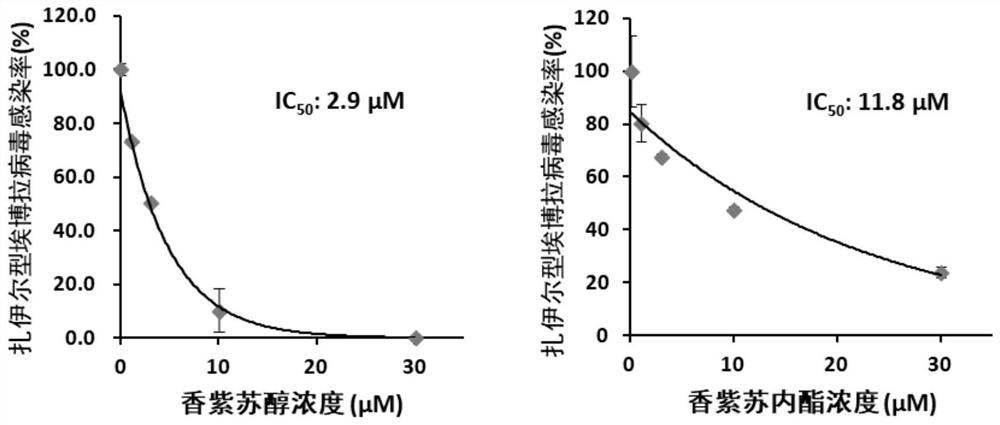 Application of Sclareol and Sclareolide in Anti-Filovirus Infection