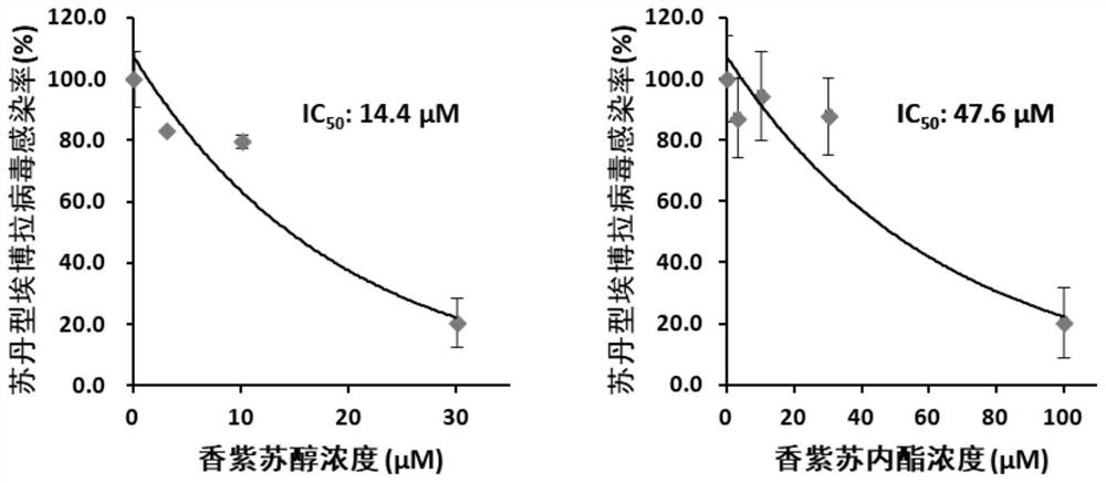 Application of Sclareol and Sclareolide in Anti-Filovirus Infection