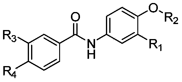 Benzamide compound with antitumor activity as well as preparation method and application thereof