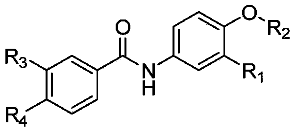 Benzamide compound with antitumor activity as well as preparation method and application thereof