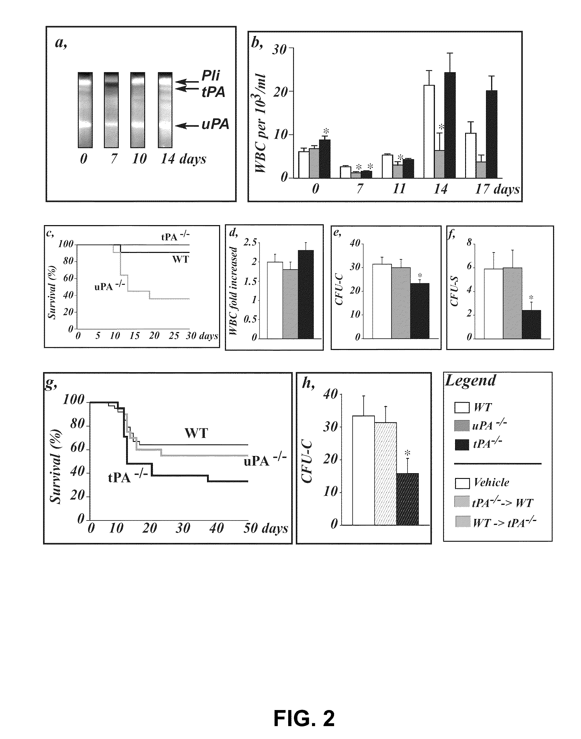 Means and methods for the recruitment and identification of stem cells