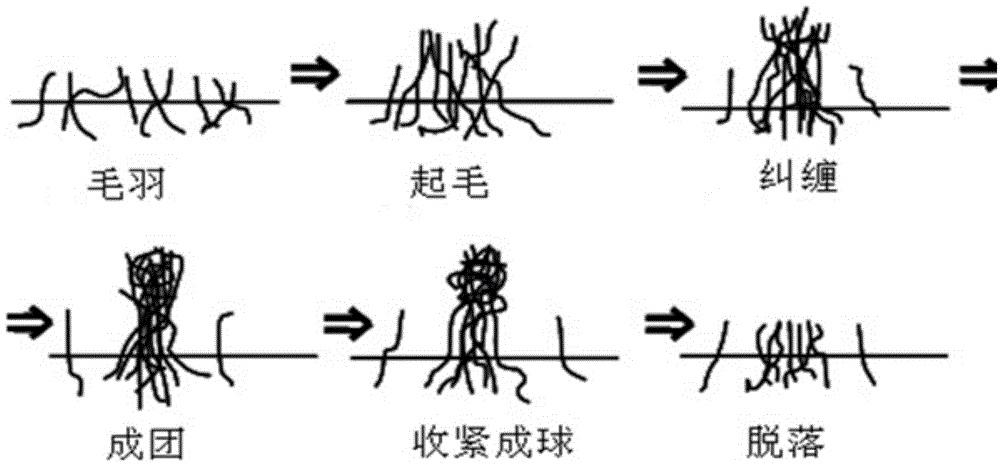 Anti-pilling finishing method of large needle gage loop-raised fabric