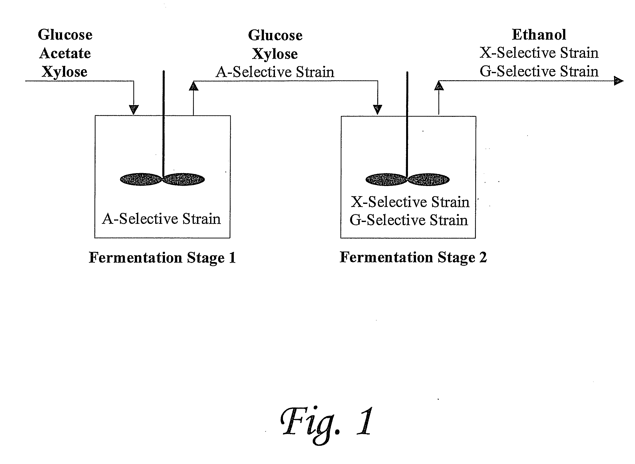 Substrate-selective co-fermentation process