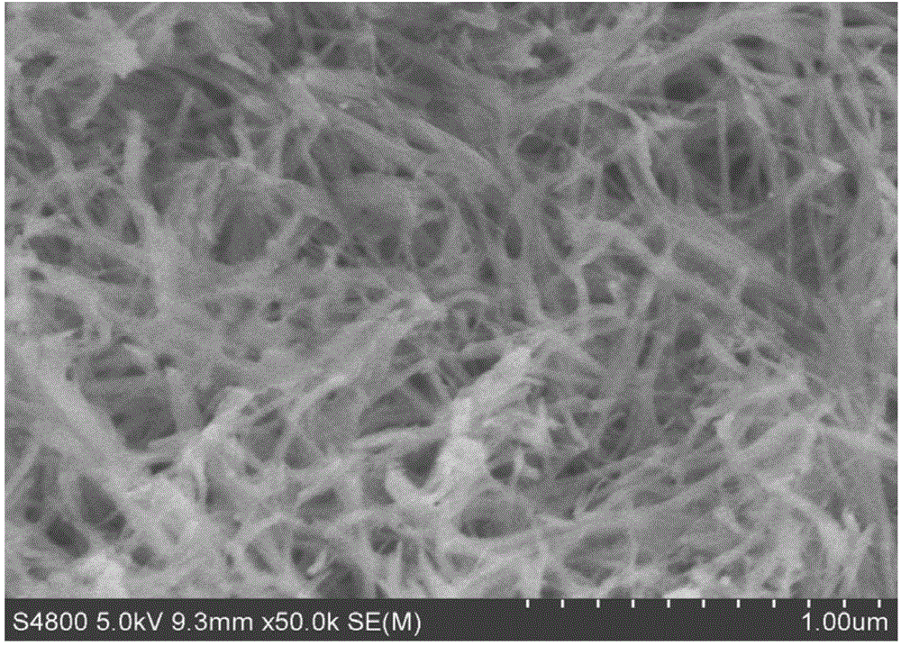 Preparation method of visible light catalysis material for graphene/bismuth molybdate nanobelt