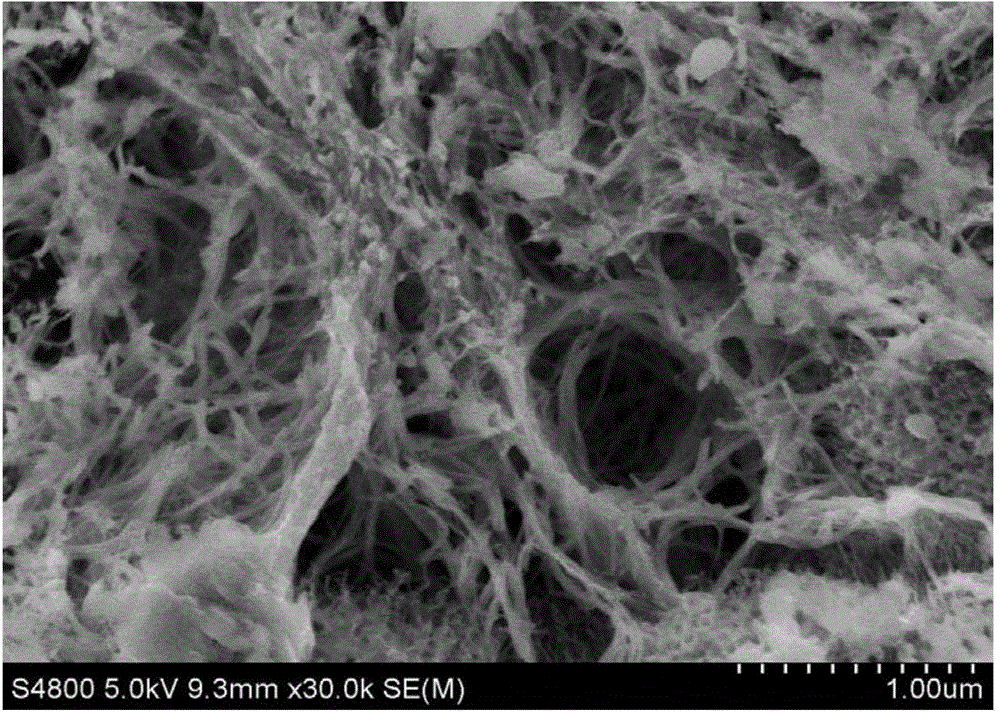 Preparation method of visible light catalysis material for graphene/bismuth molybdate nanobelt