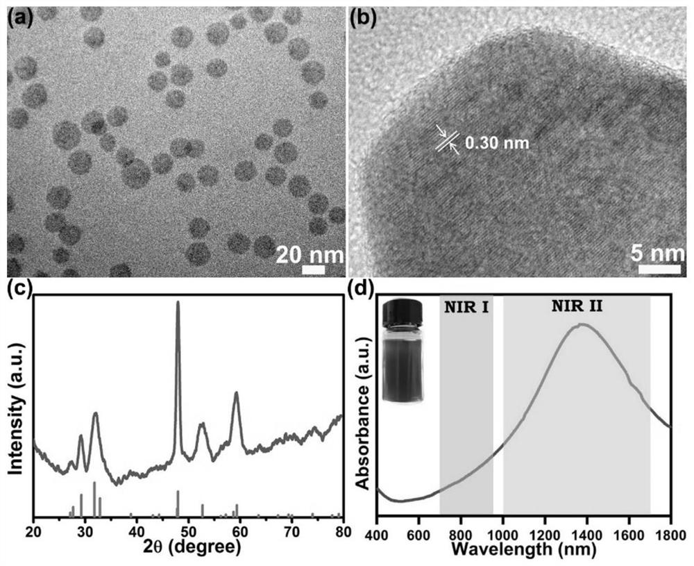 Mitochondrion-targeting photothermal therapeutic agent as well as preparation and application thereof