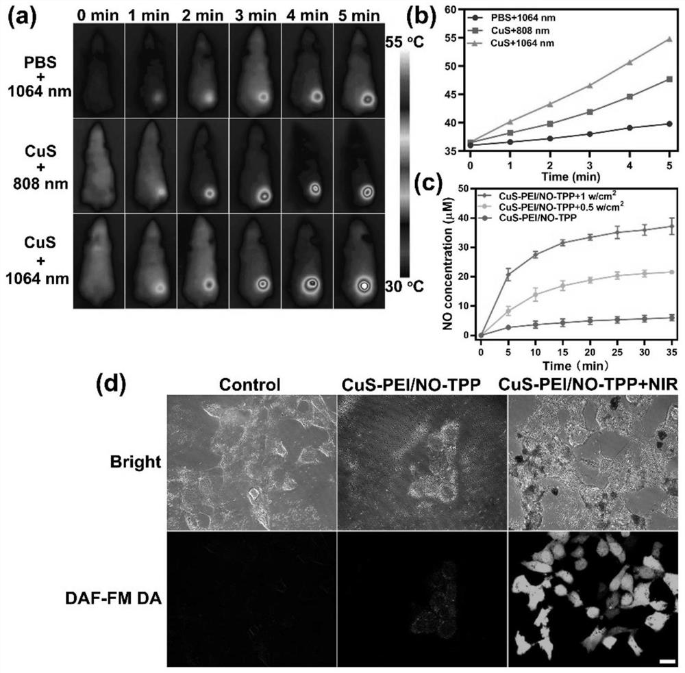 Mitochondrion-targeting photothermal therapeutic agent as well as preparation and application thereof