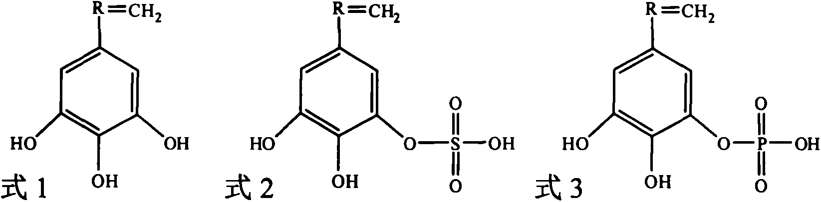 Waterborne rust conversion polymer emulsion, coating thereof and method for preparing same