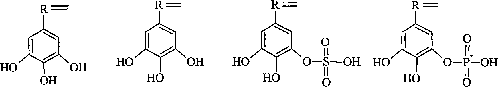 Waterborne rust conversion polymer emulsion, coating thereof and method for preparing same