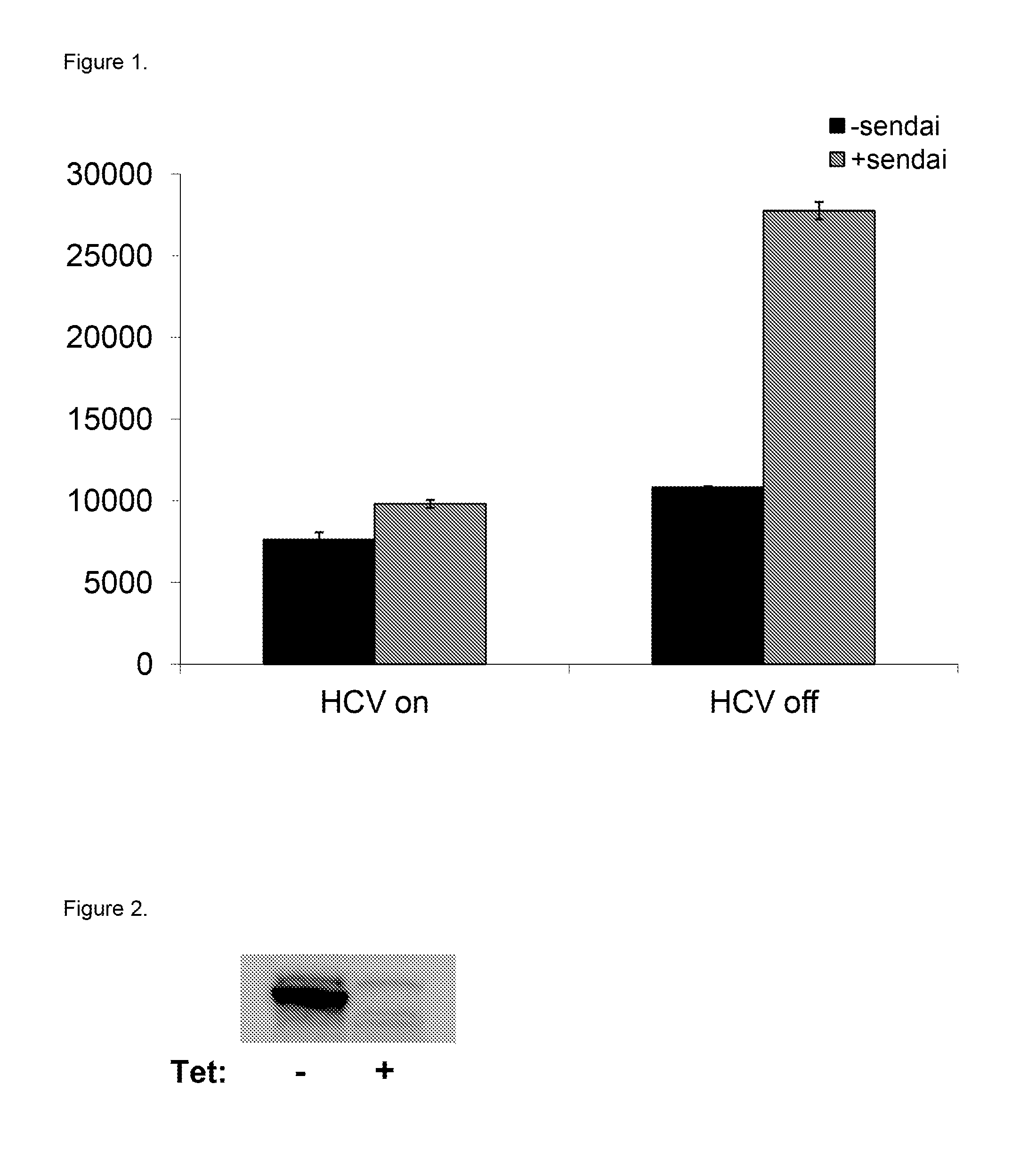 Methods and cells for identifying rig-i pathway regulators