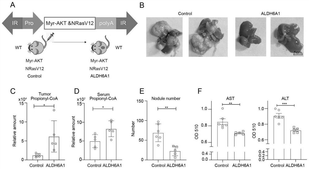 Novel metabolic marker for preparing liver cancer detection reagent and application thereof