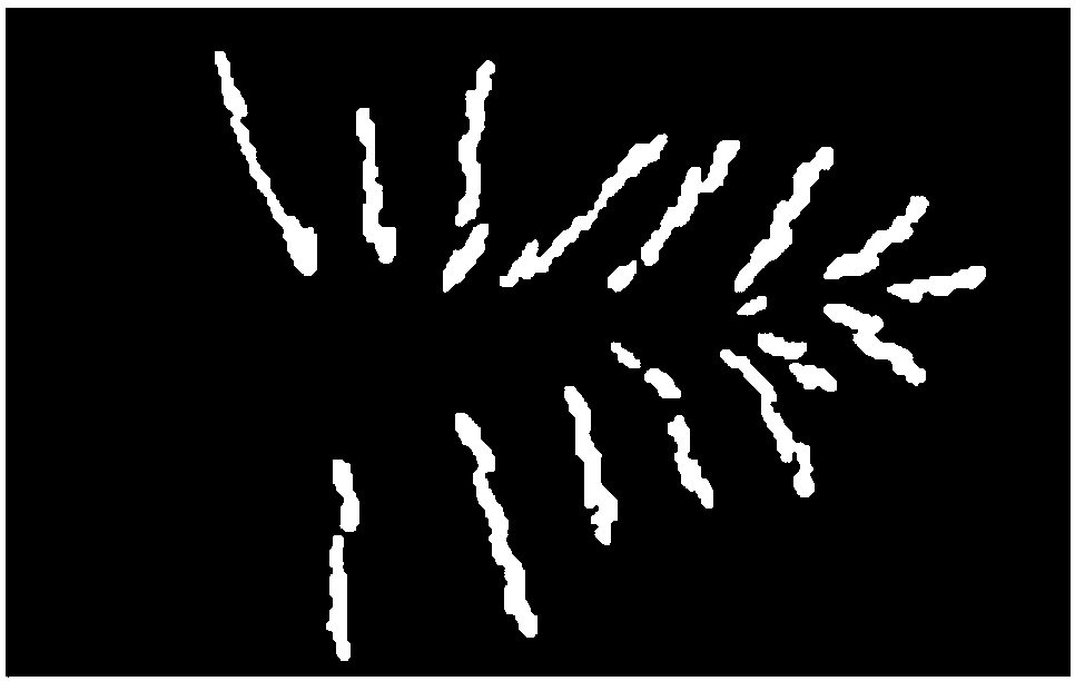 Rice-ear-grain nondestructive counting method and system based on contour information multiscale analysis