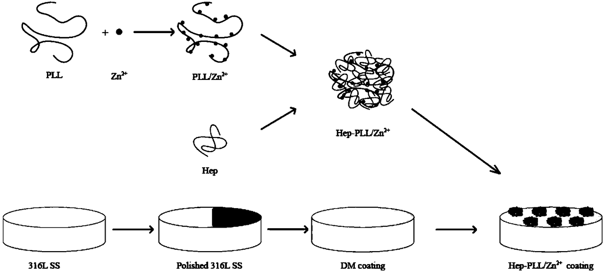 Medical material for inducing tissue repair as well as preparation method and application thereof