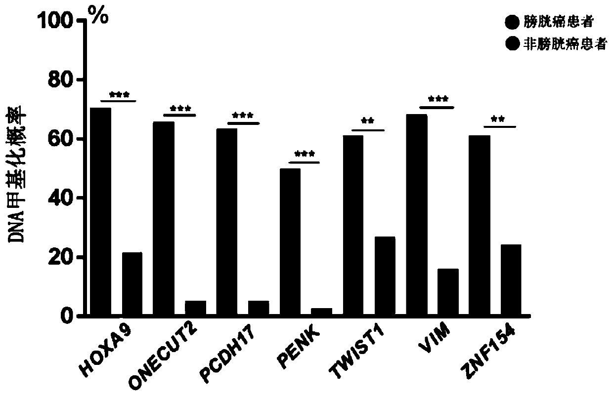 Bladder cancer diagnosis system and method of detecting methylation level of target gene in urine