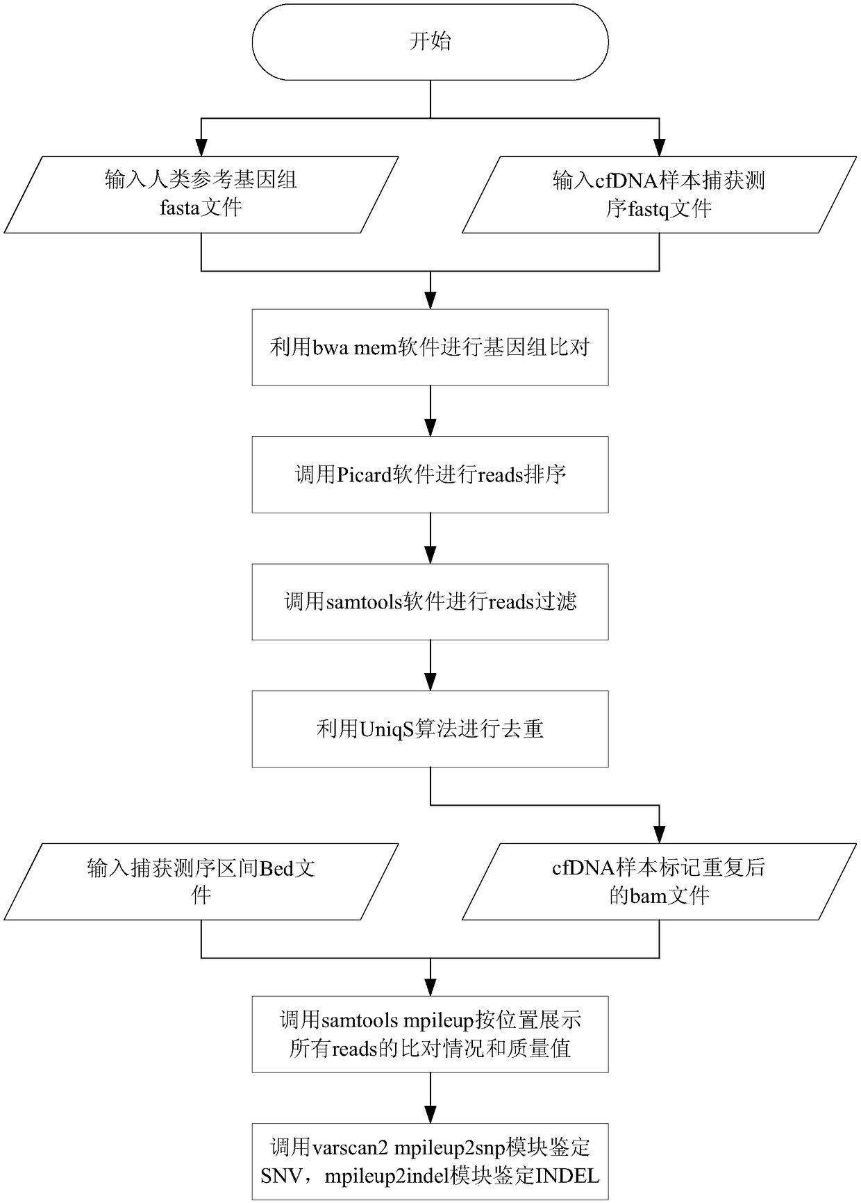 Method and device for processing circulating tumor DNA repetitive sequence