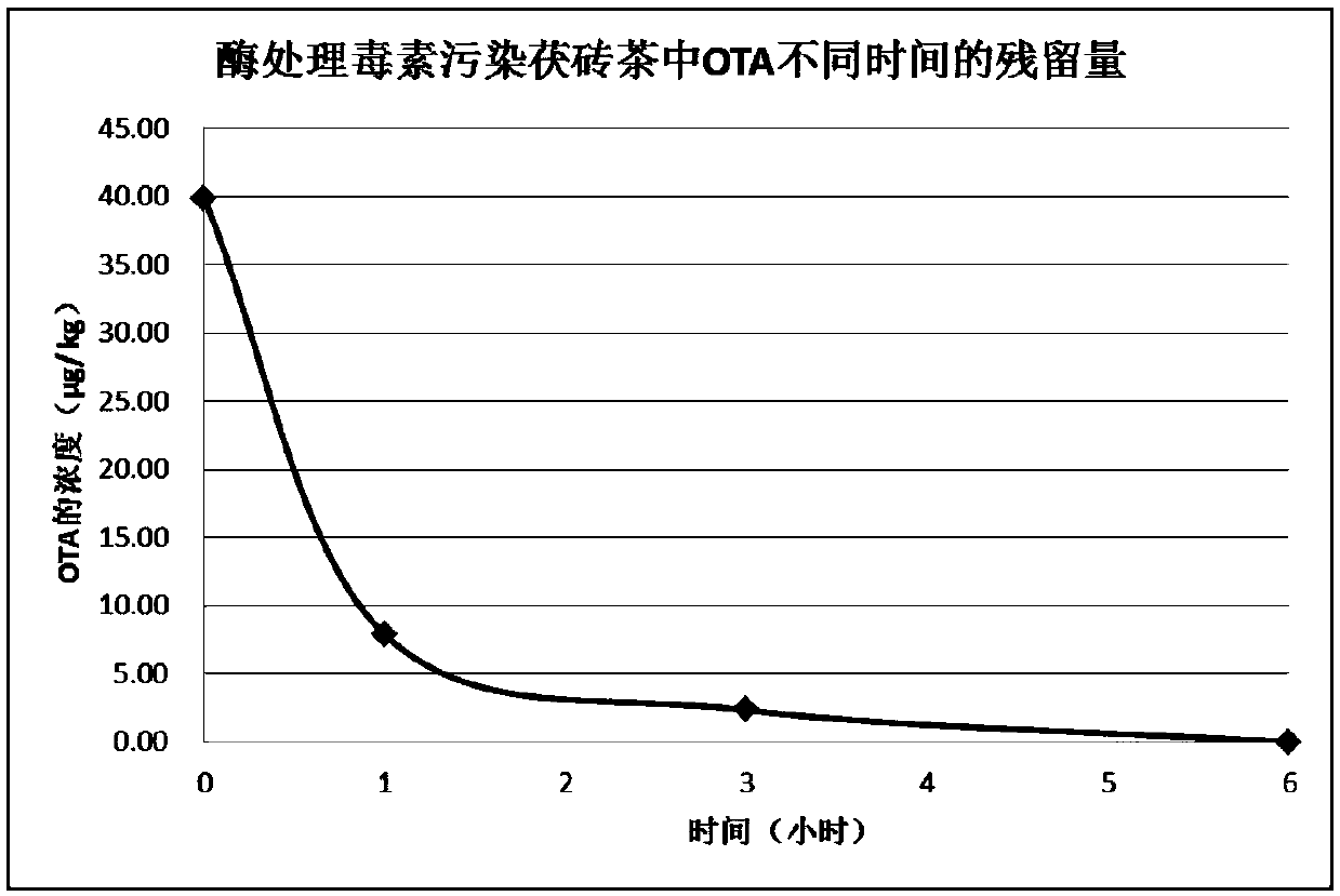 Ochratoxin detoxification enzyme, encoding gene, recombinant vector and application thereof