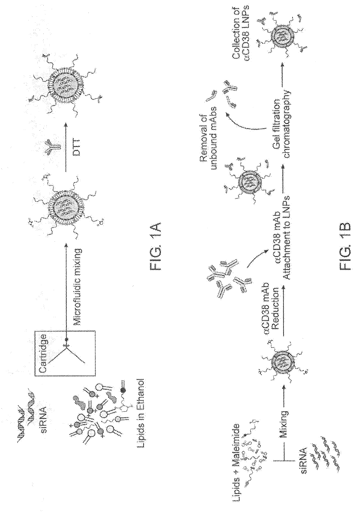 Targeted lipid particles for systemic delivery of nucleic acid molecules to leukocytes