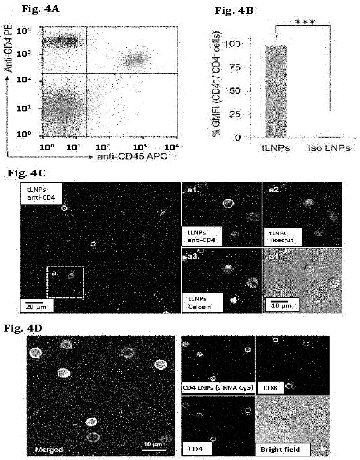 Targeted lipid particles for systemic delivery of nucleic acid molecules to leukocytes